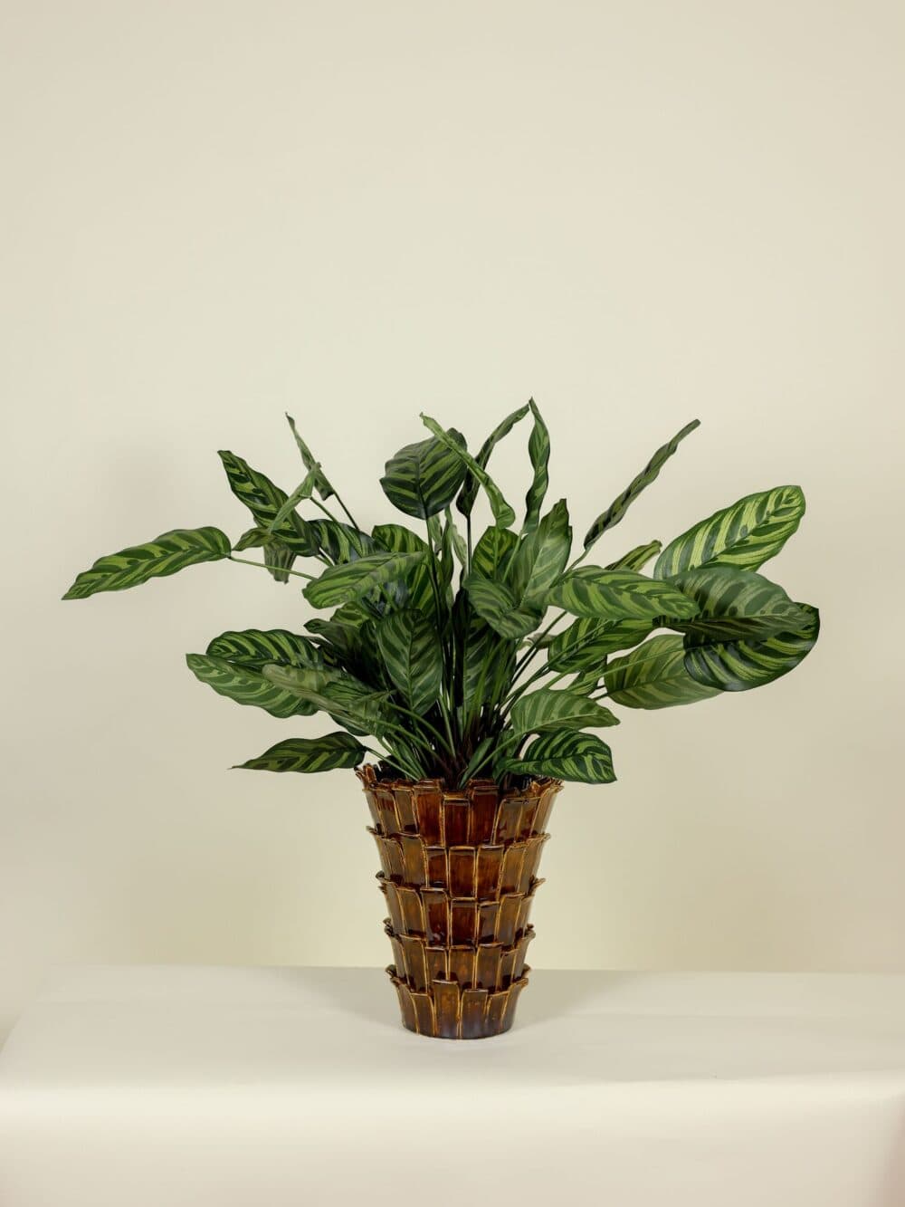 Kunstplant Calathea Makoyana 78cm