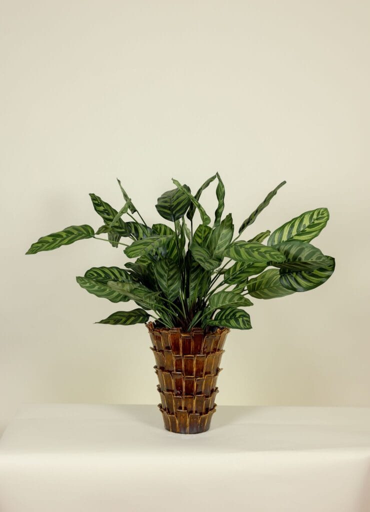 Kunstplant Calathea Makoyana 78cm