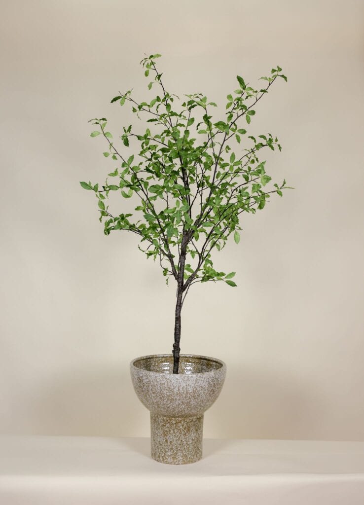 kunstboom Pittosporum in Pot 165cm