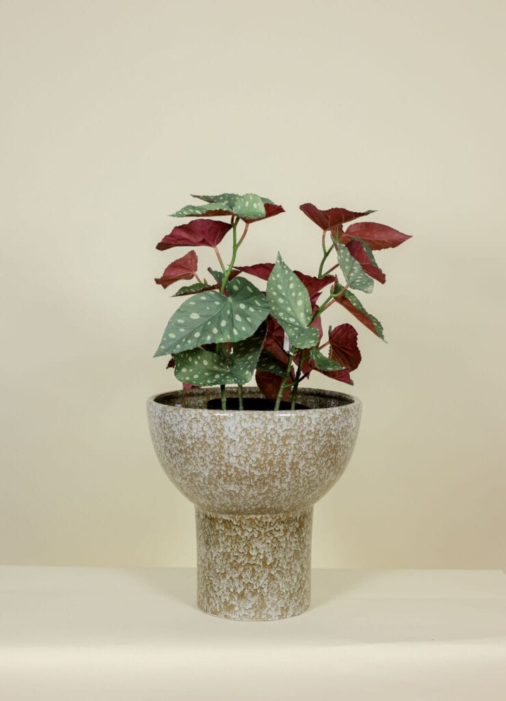Begonia kunstplant 62 cm