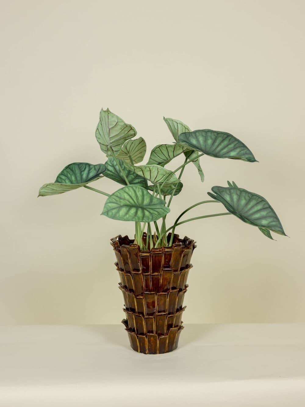 Kunstplant Alocasia in Pot 66cm