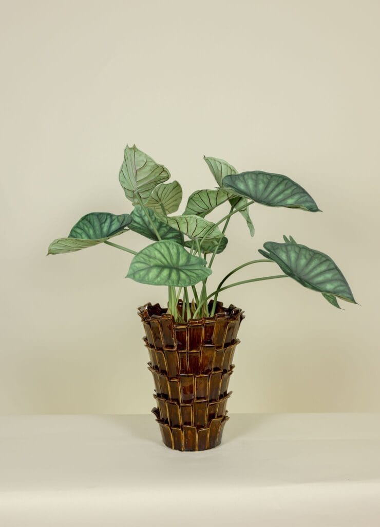 Kunstplant Alocasia in Pot 66cm