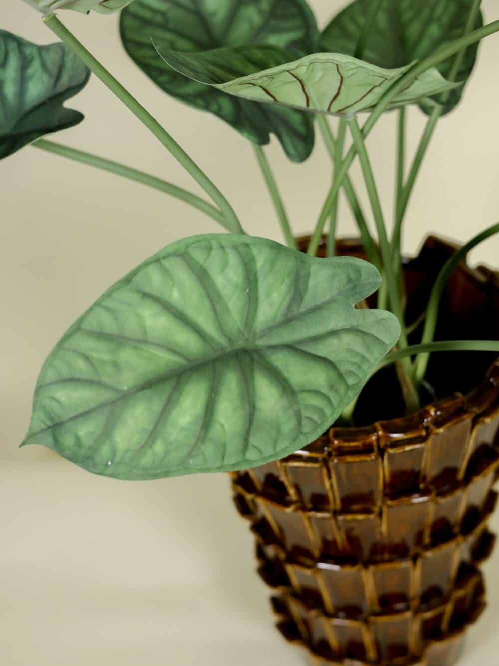 Kunstplant Alocasia in Pot 66cm