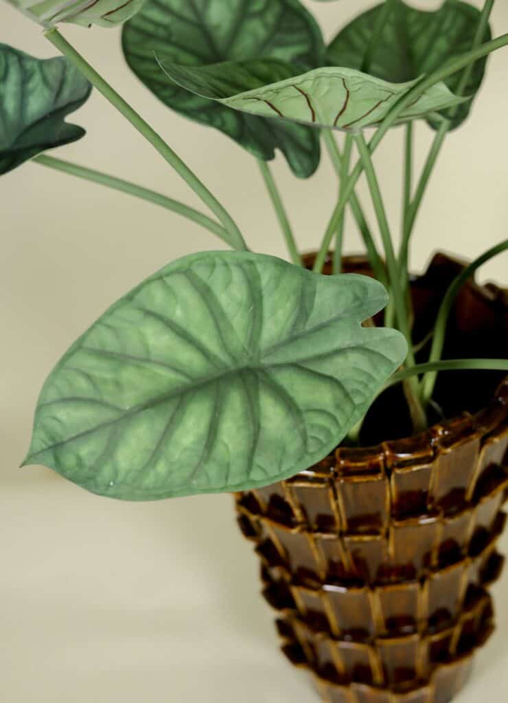 Kunstplant Alocasia in Pot 66cm