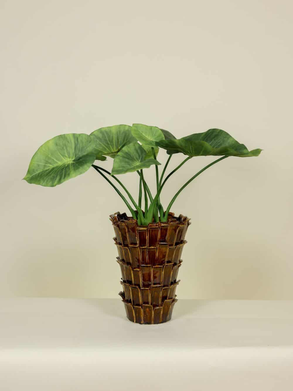 Kunstplant Alocasia real touch 60cm