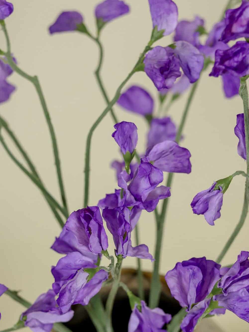 Zijden boeket Pronkerwt paars