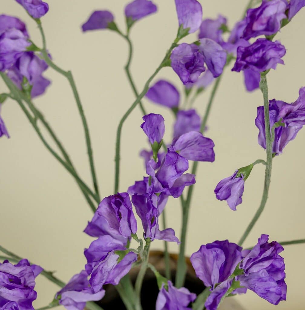 Zijden boeket Pronkerwt paars