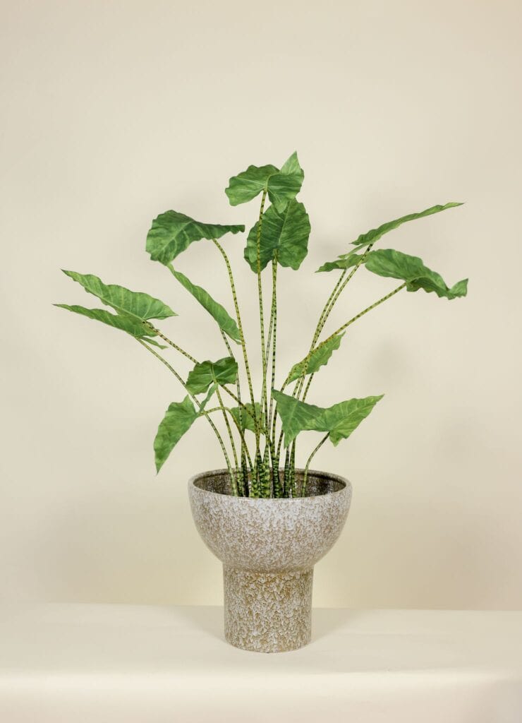 Kunstplant real touch Alocasia Zebrina 110cm