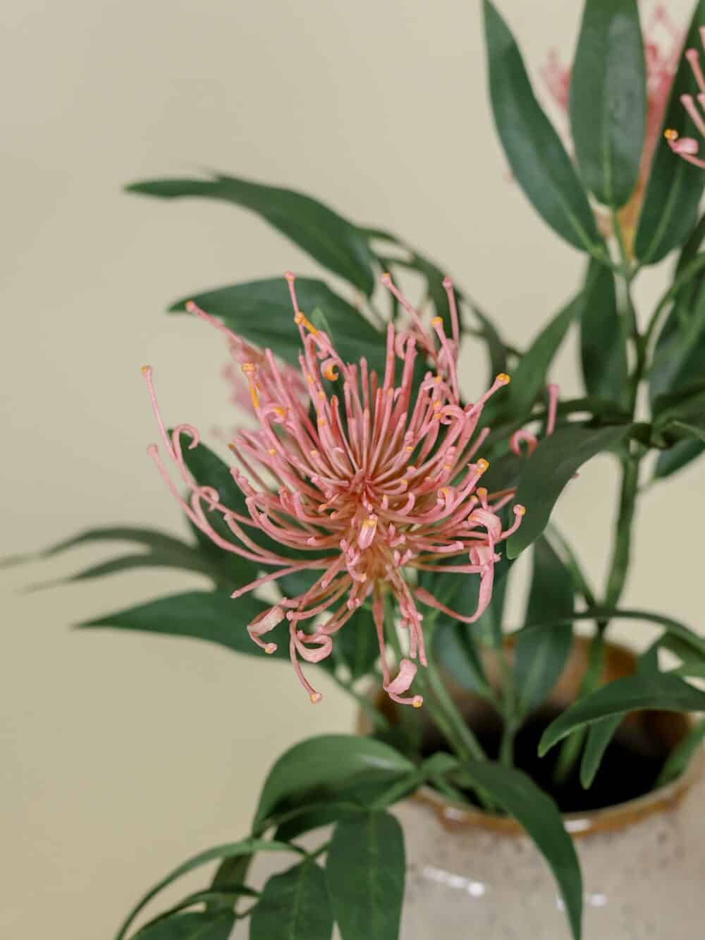 Zijden boeket Zilvereik roze