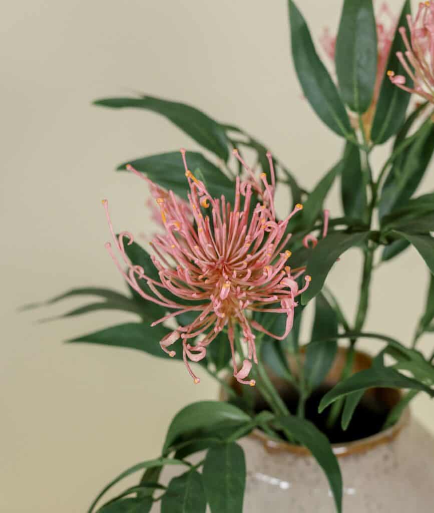 Zijden boeket Zilvereik roze