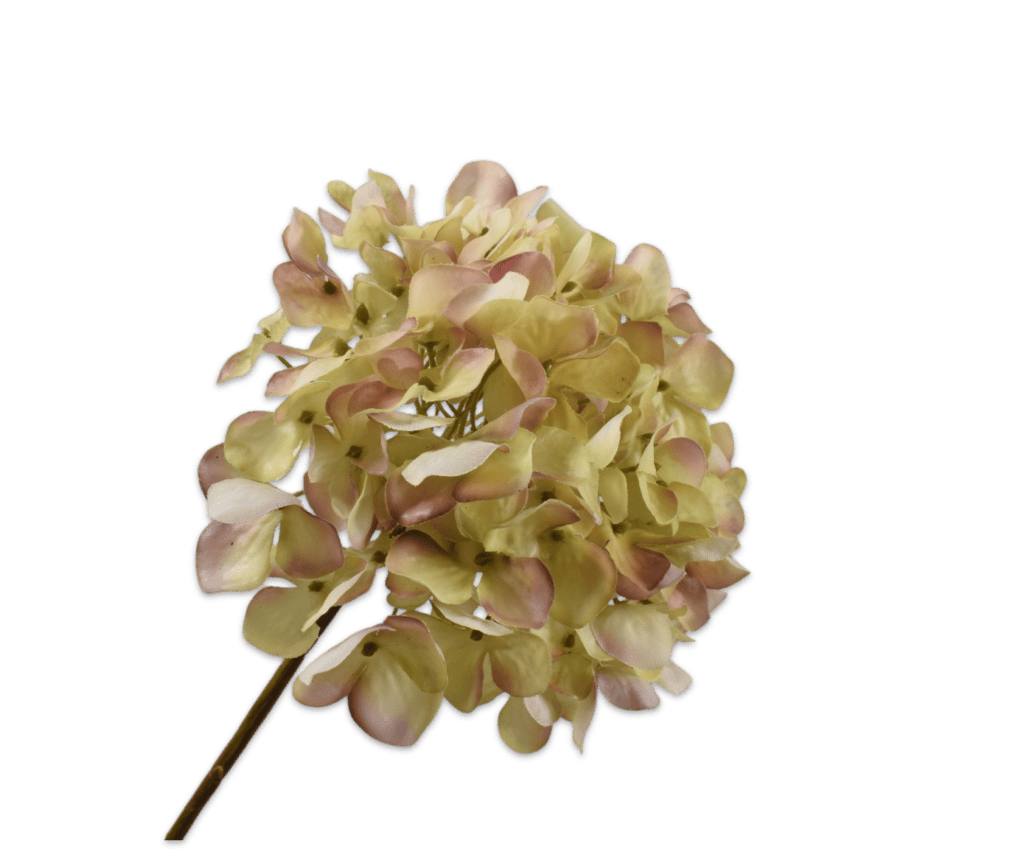 HORTENSIA STEEL 63 cm