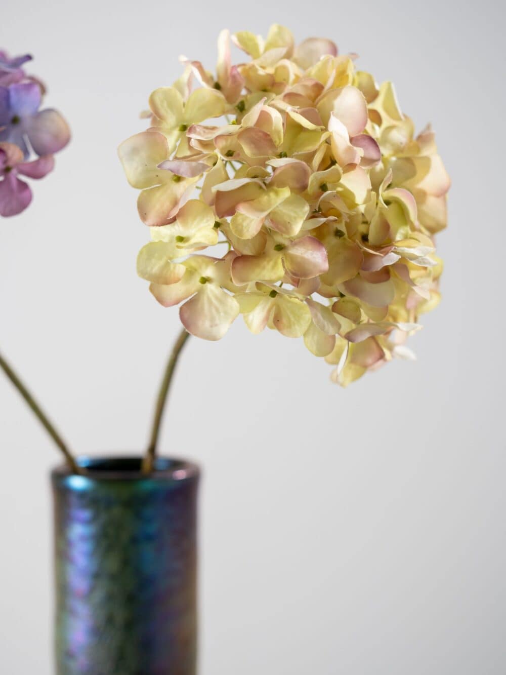 HORTENSIA STEEL 63 cm