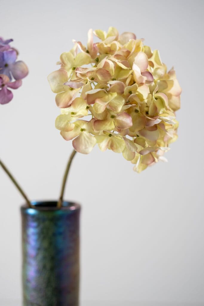 HORTENSIA STEEL 63 cm