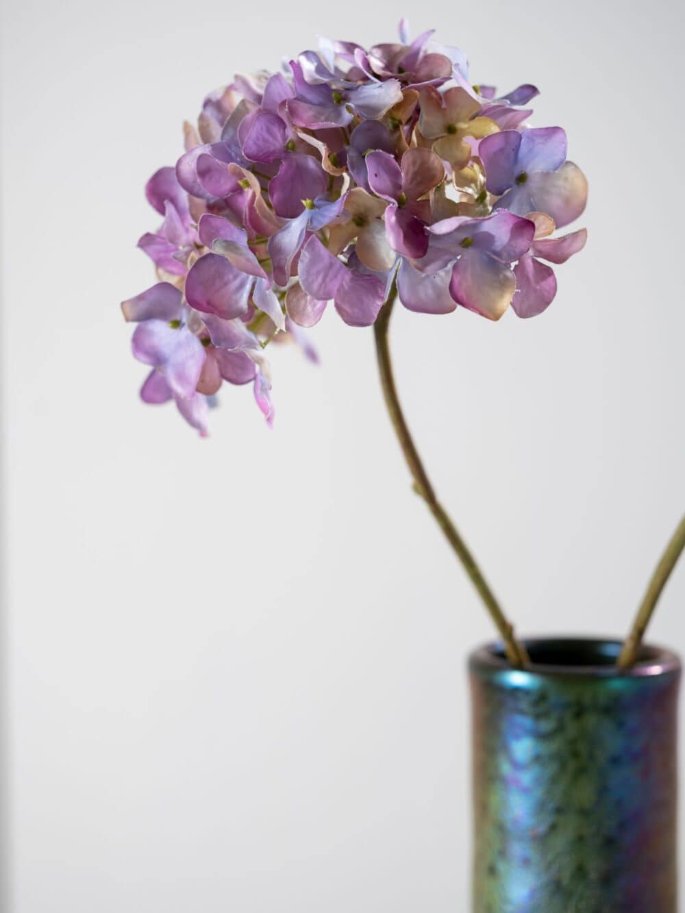 Hortensia steel lavend 63 cm