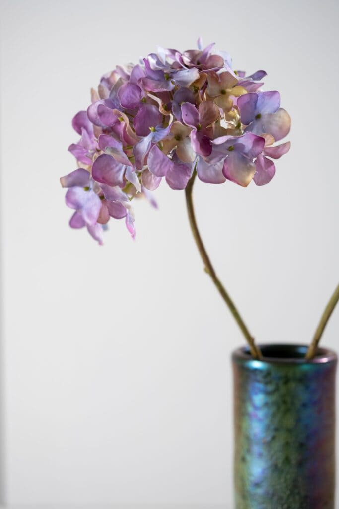 Hortensia steel lavend 63 cm