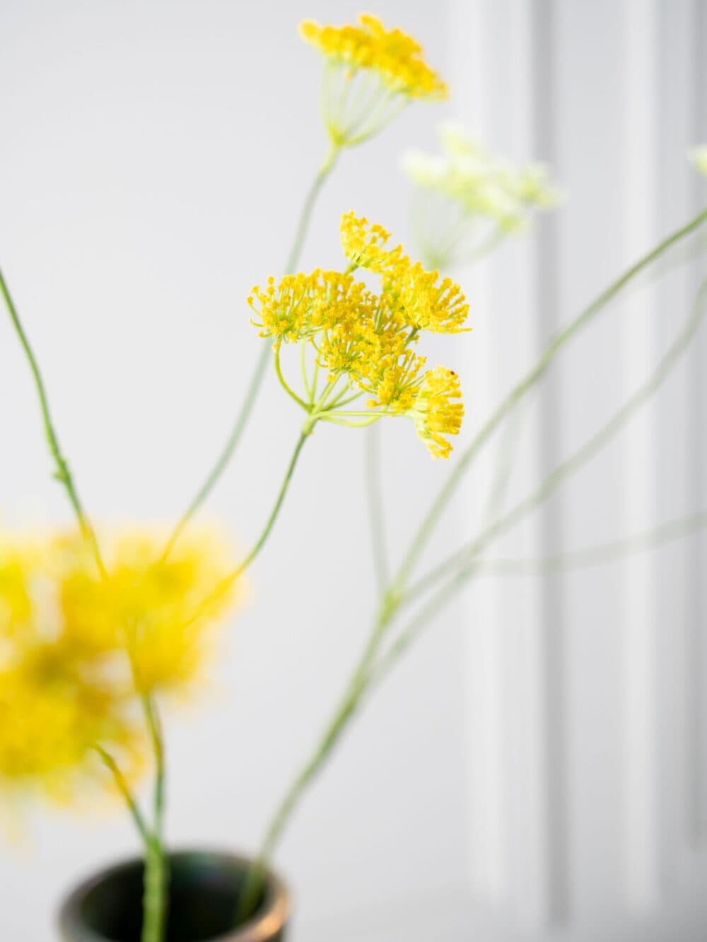 Dilletak Geel Silk-ka 110 cm