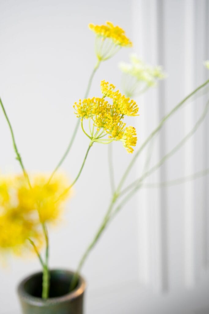 Dilletak Geel Silk-ka 110 cm