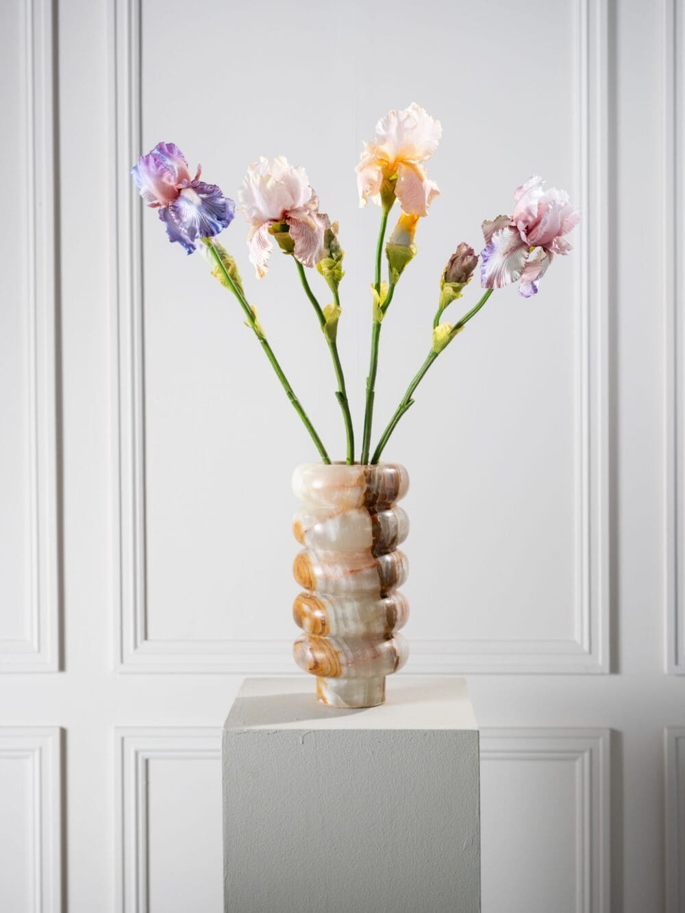 Iris tak brn lt 79 cm