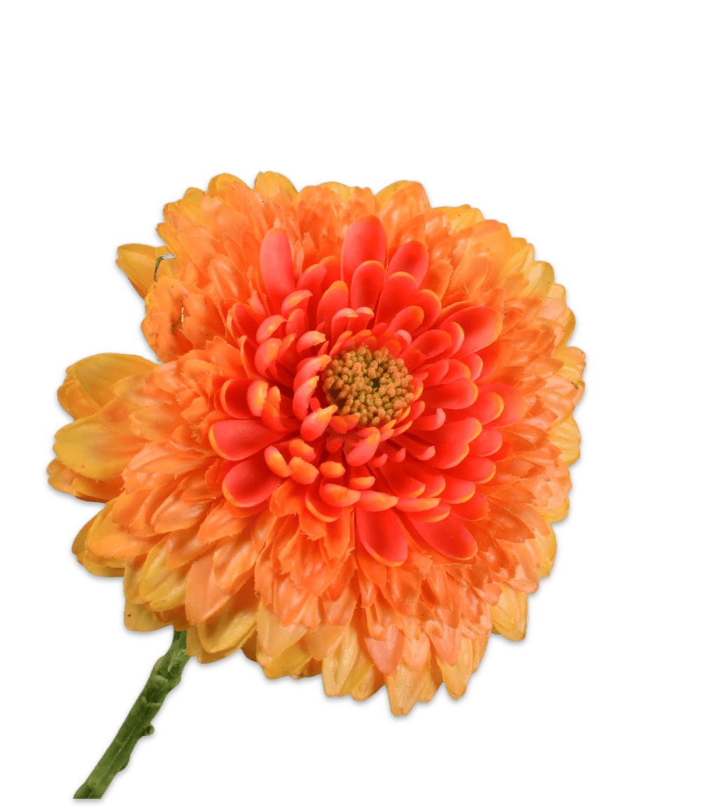 Gerbera steel oranje rt 60 cm