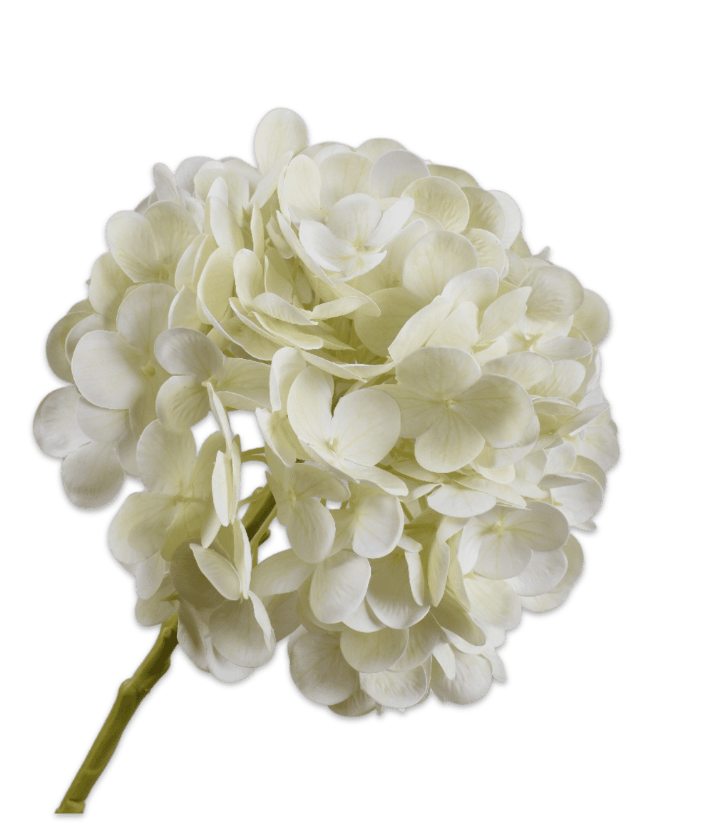 Hortensia steel wit 64 cm