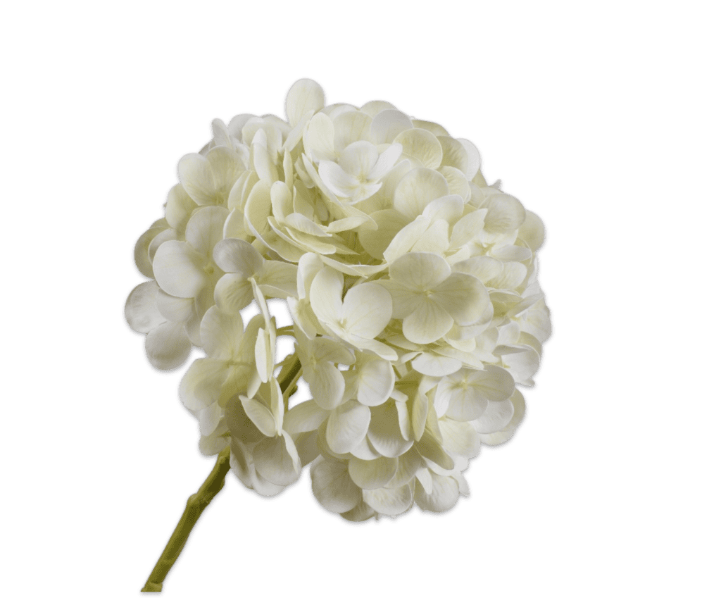 Hortensia steel wit 64 cm