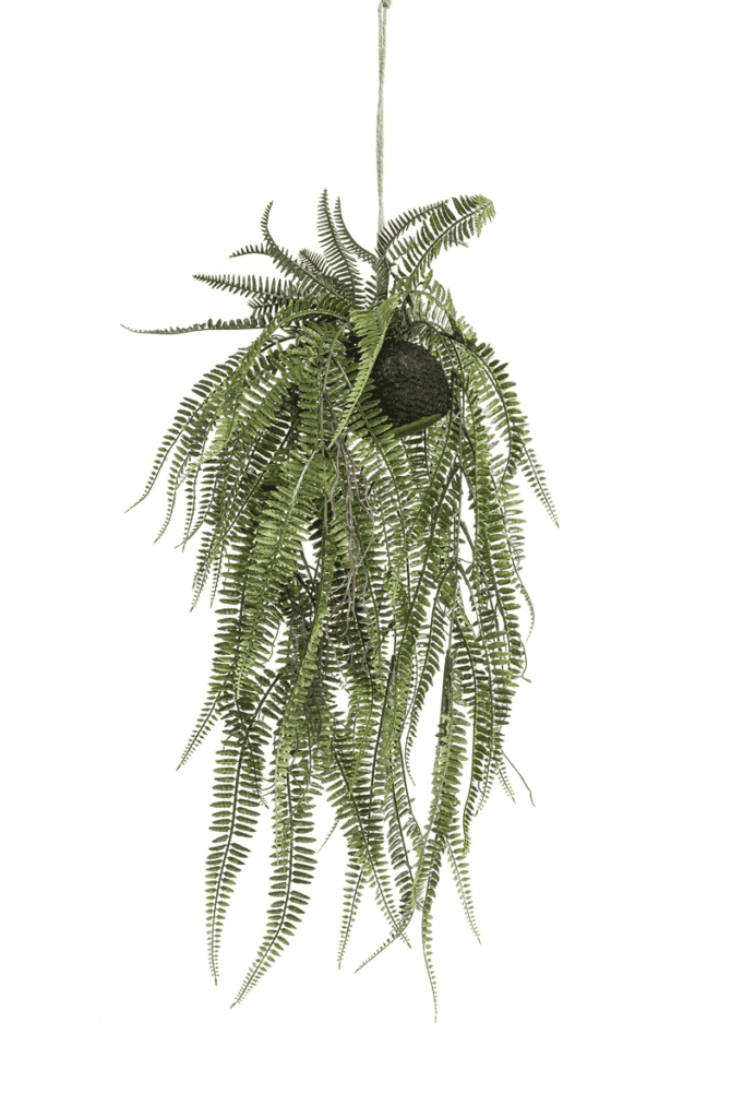 Fern bush hanging on ball 70cm