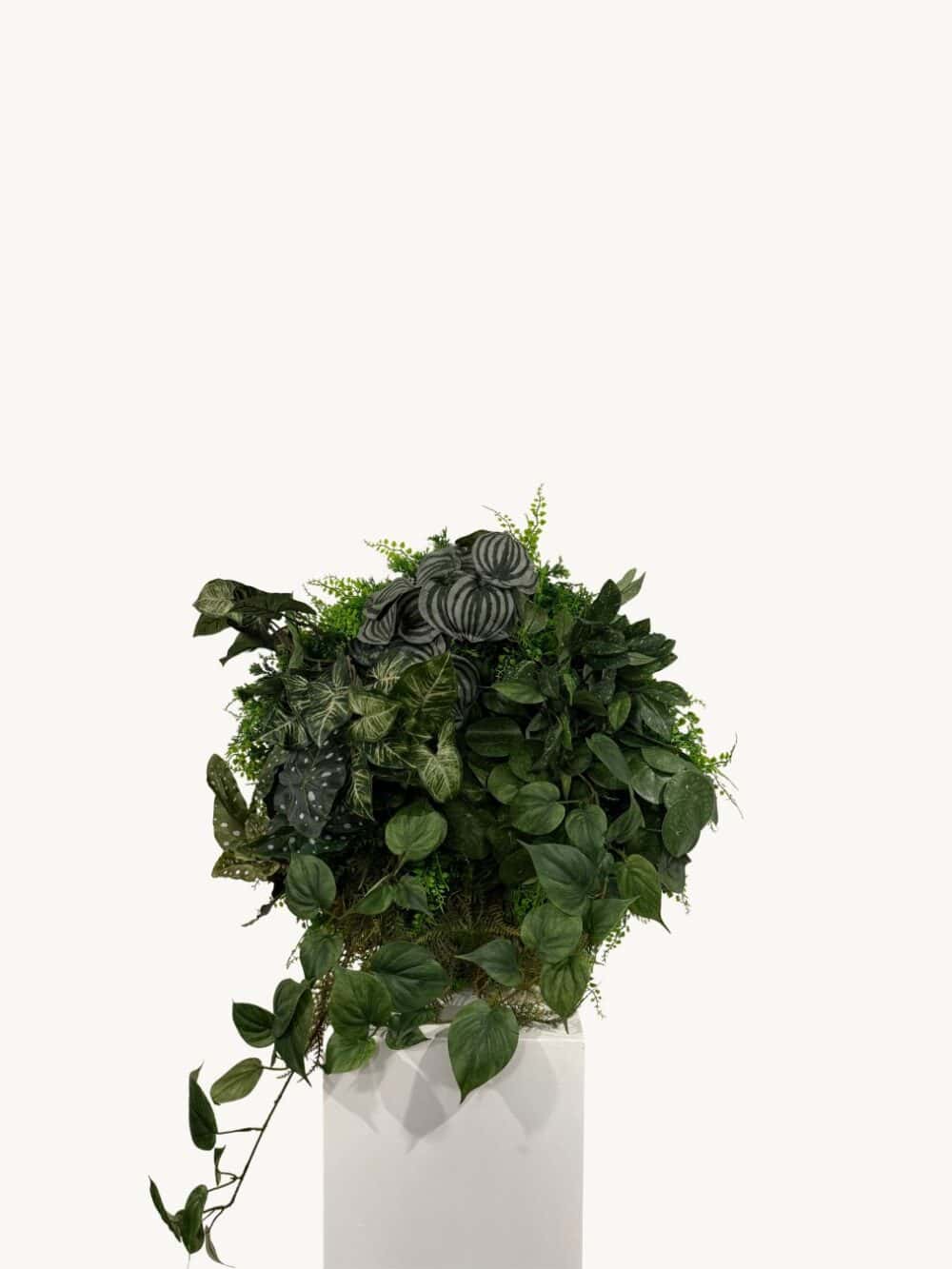 Greencircle dia 60cm