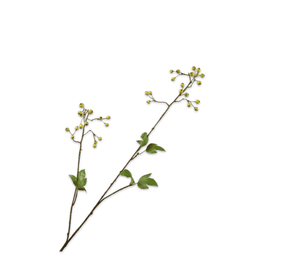 Bessentak groen 93 cm