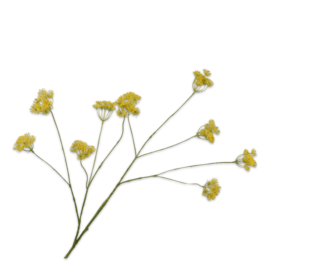 Dilletak Geel Silk-ka 110 cm