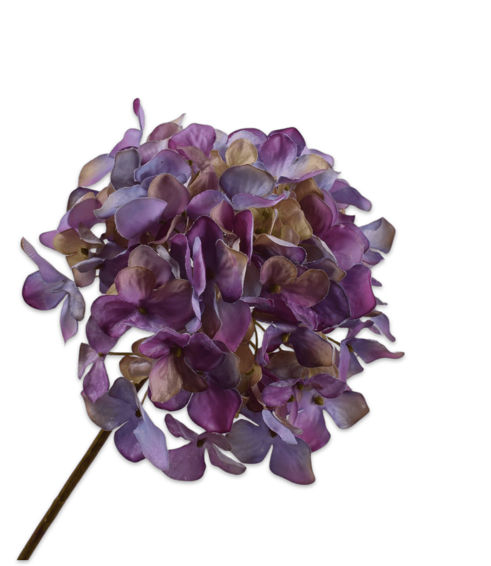 Hortensia steel lavend 63 cm