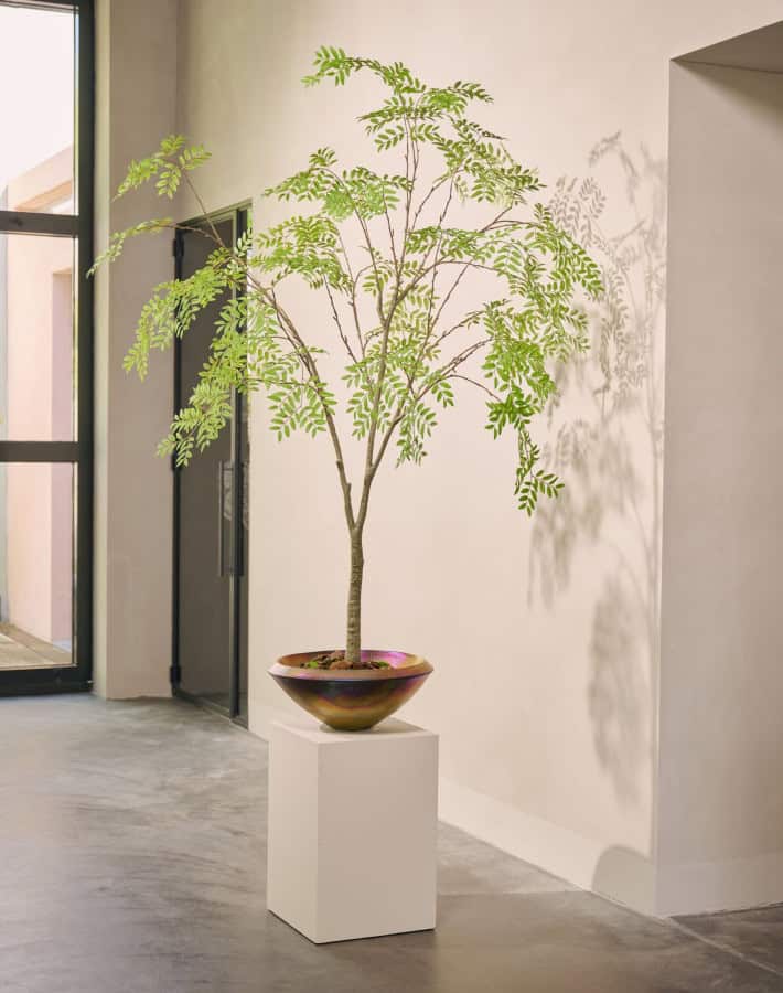 De Kunstboom Aralia Silk-ka 210 cm