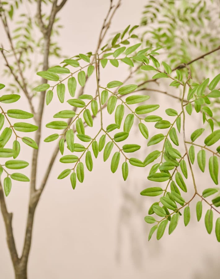 De Kunstboom Aralia Silk-ka 210 cm