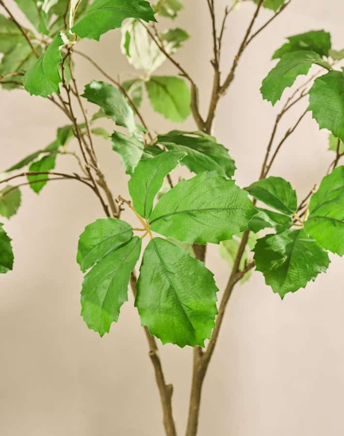 Kunstboom kastanjeboom Silk-ka 200 cm