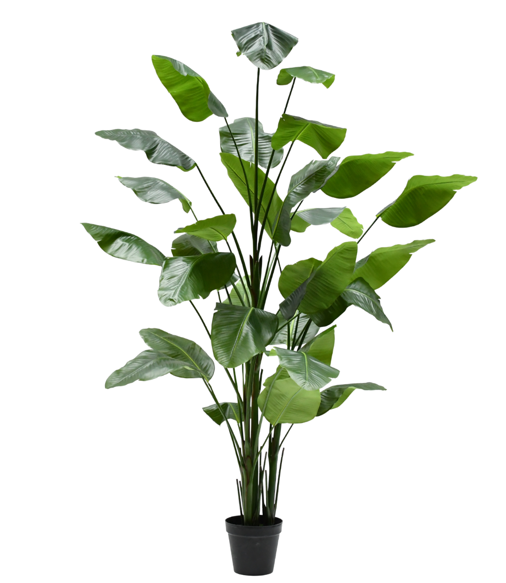 Kunstplant Strelitzia 300 cm Silk-ka