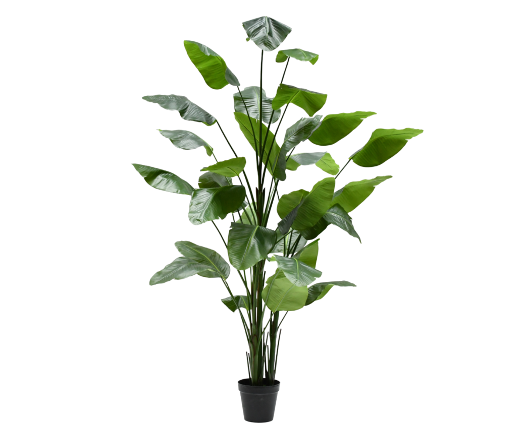 Kunstplant Strelitzia 300 cm Silk-ka