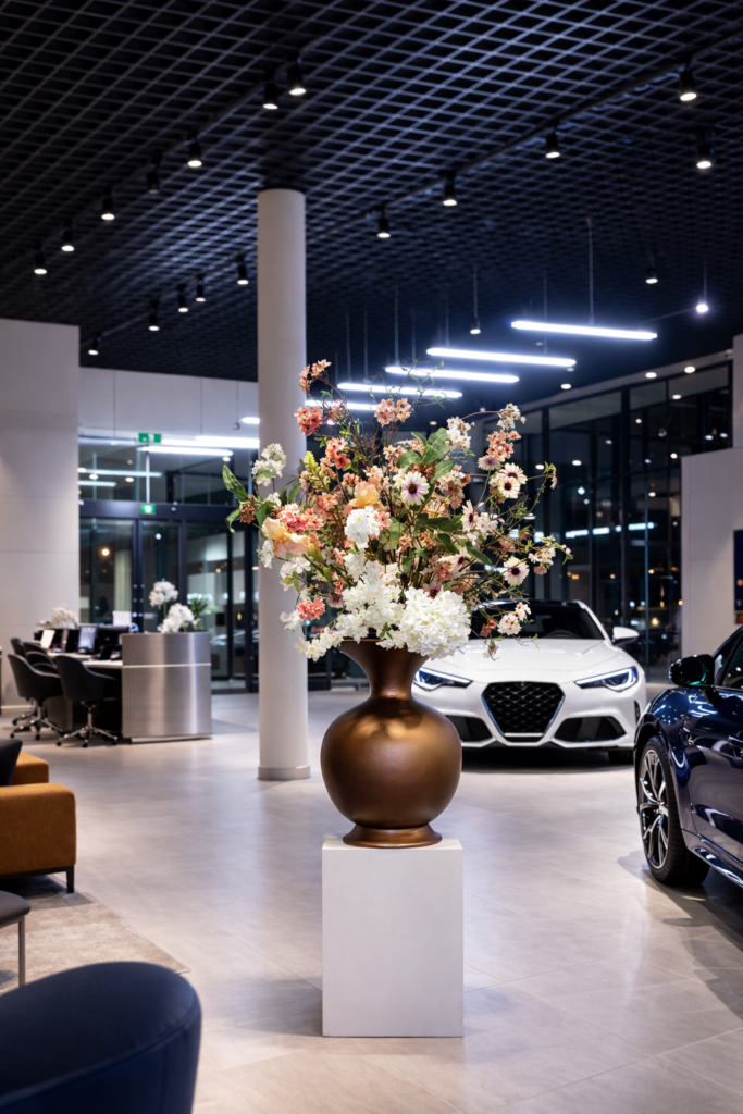 Belly pastel autoshowroom