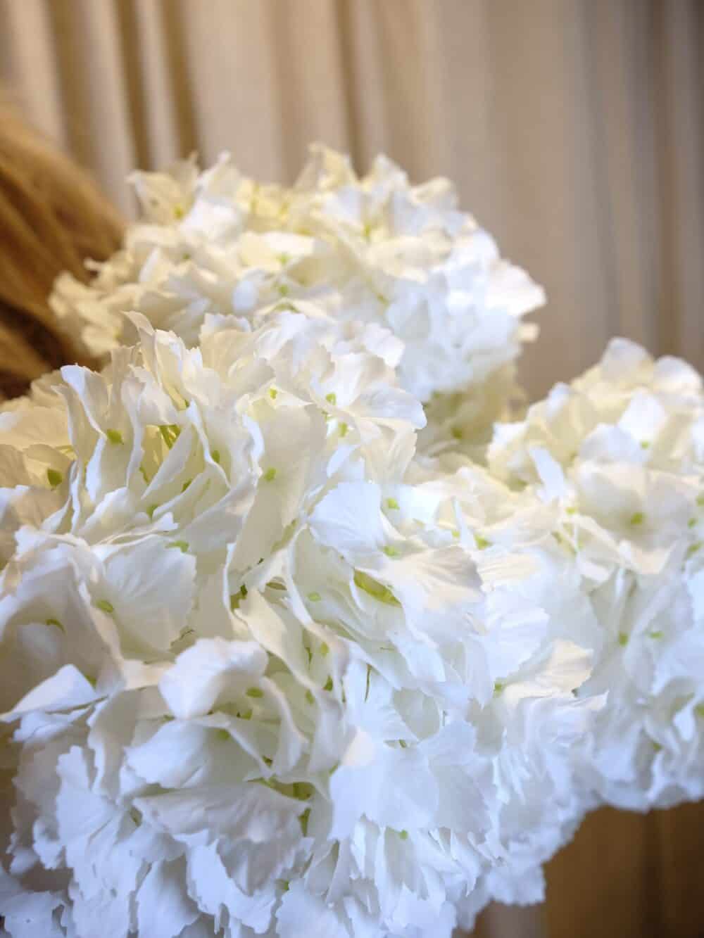 Witte hortensia deluxe