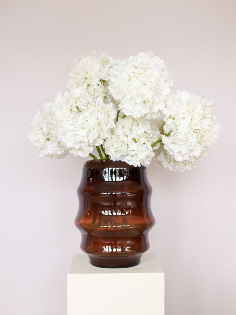 Witte hortensia deluxe