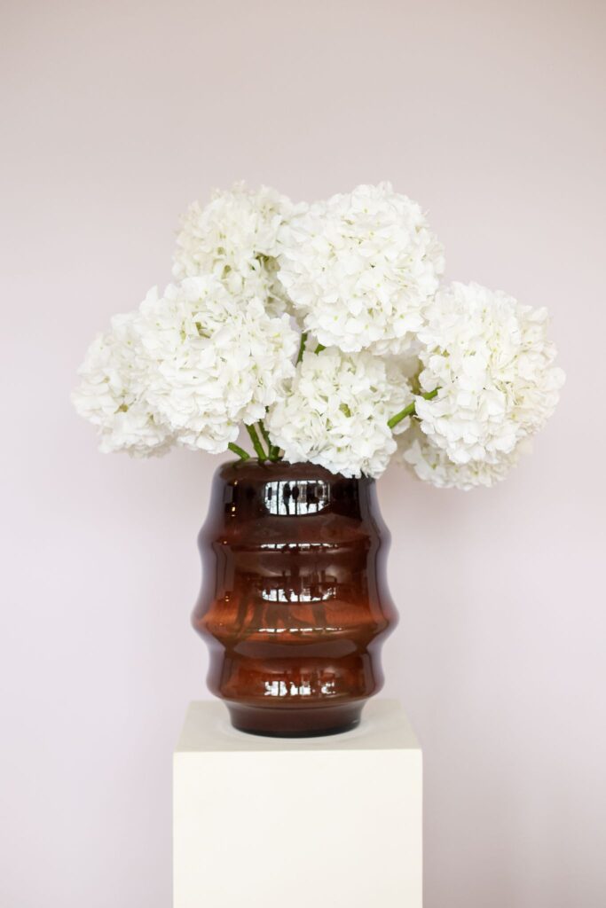 Witte hortensia deluxe