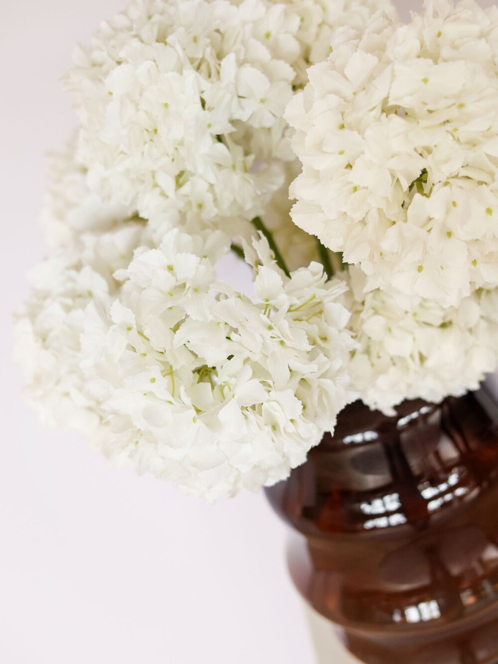 Witte hortensia deluxe