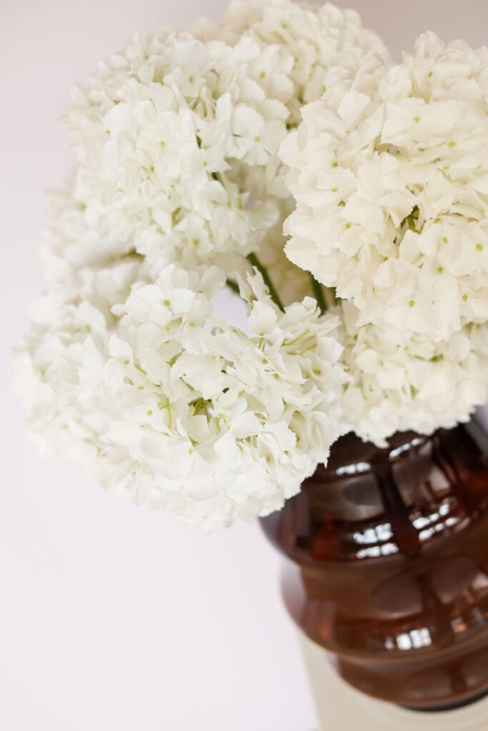 Witte hortensia deluxe