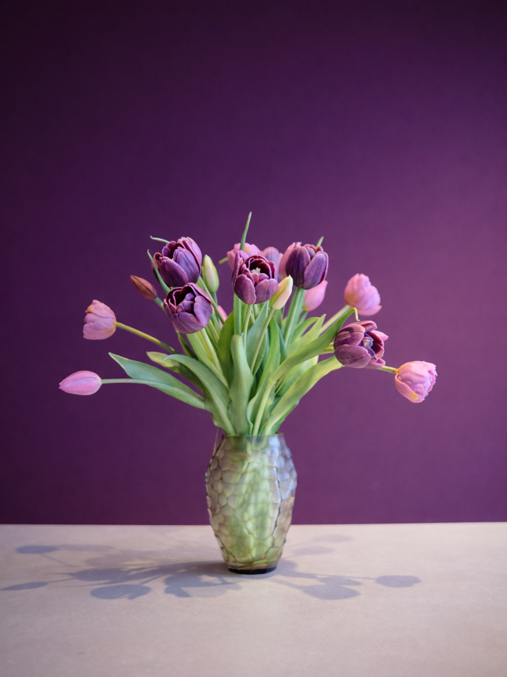 Tulpen Voorjaarsdeal