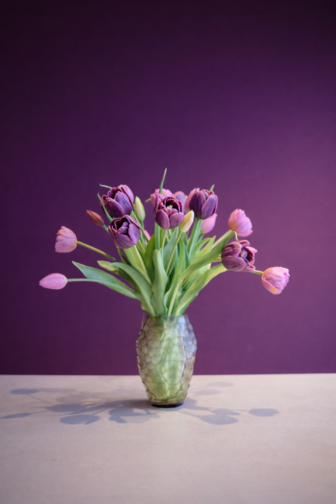 Tulpen Voorjaarsdeal