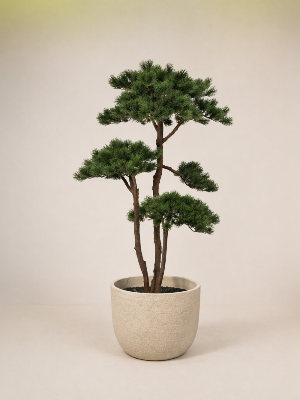 Pinus bonsai kunstboom 210 cm