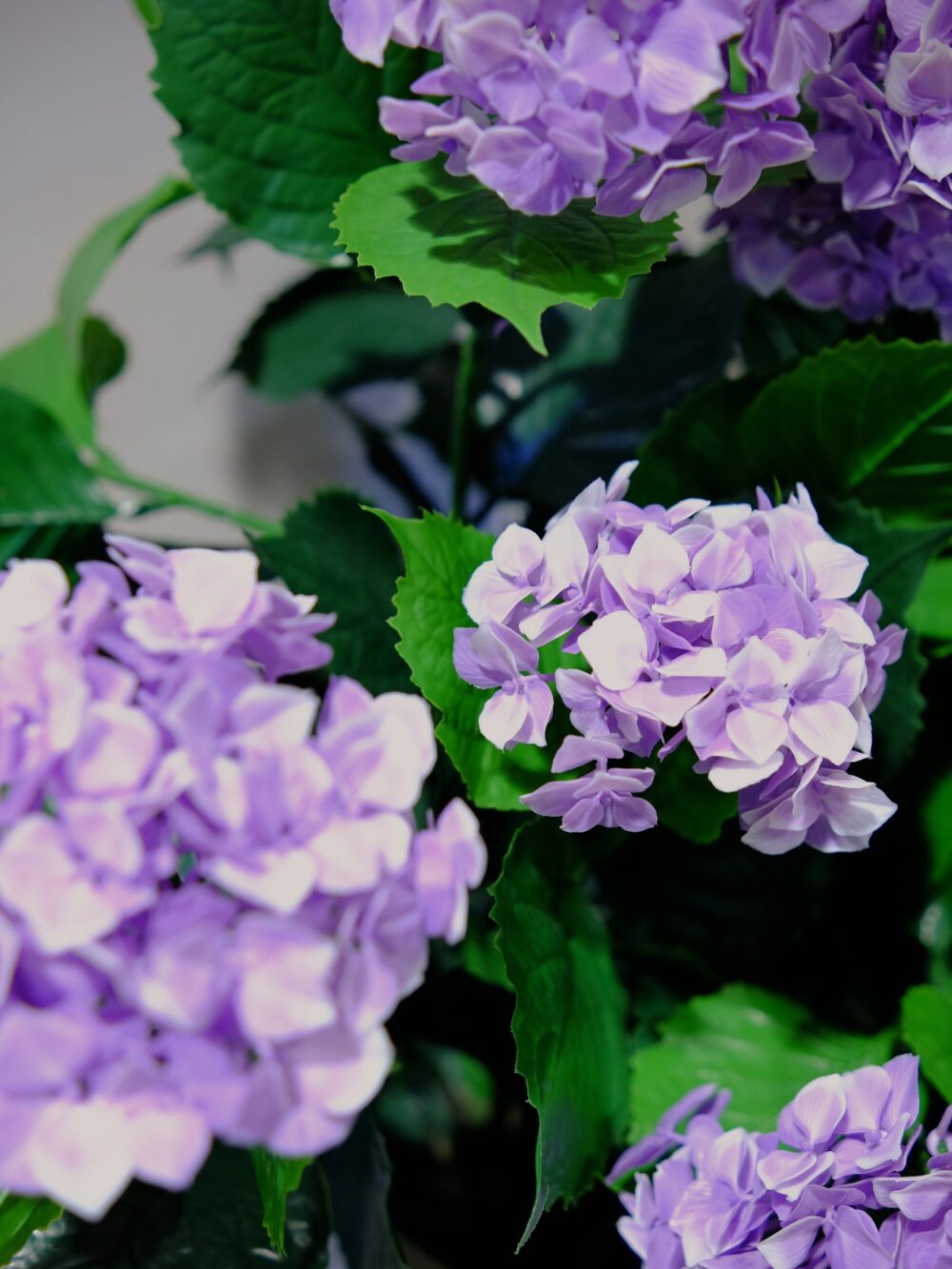 Kunstplanten buiten hortensia paars 90cm