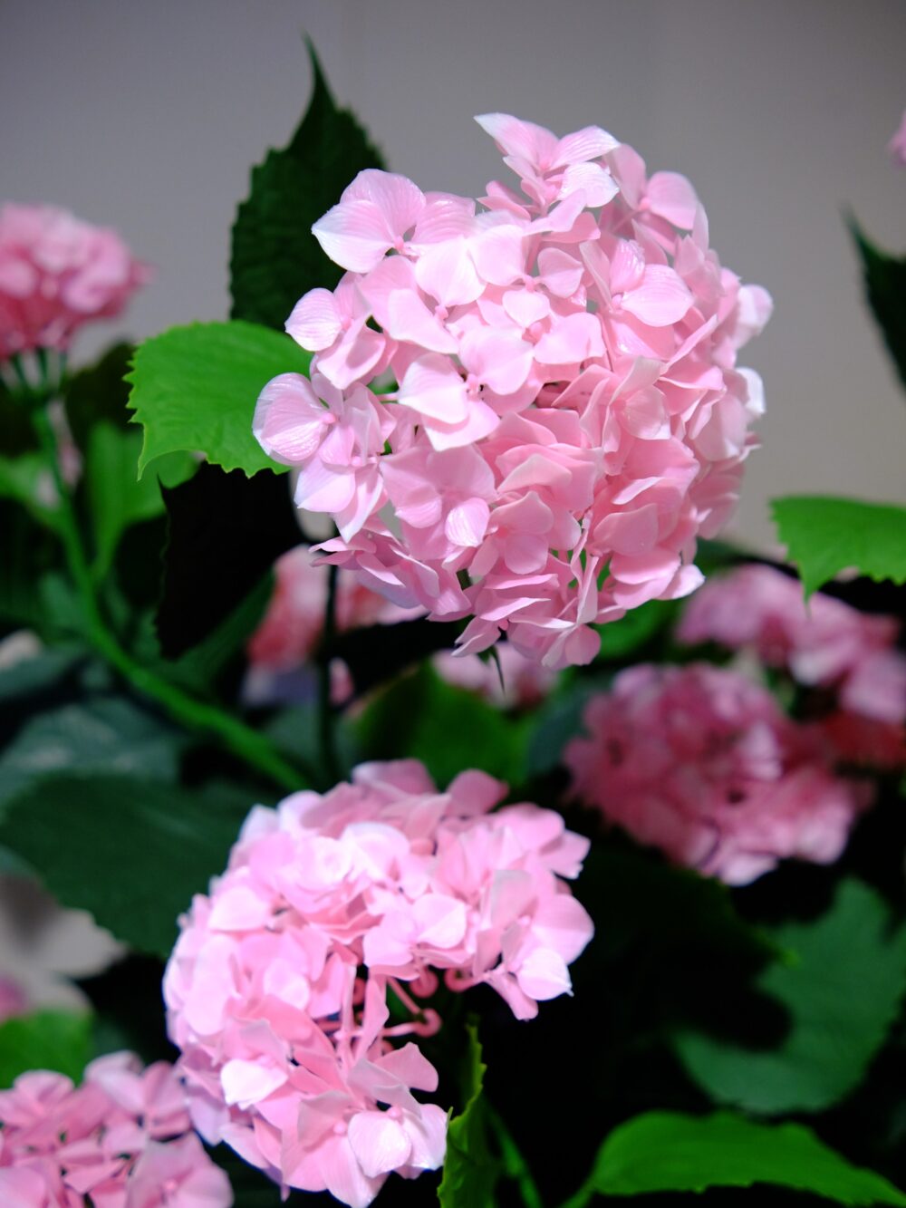 Kunst Hortensia Roze 90cm Buiten