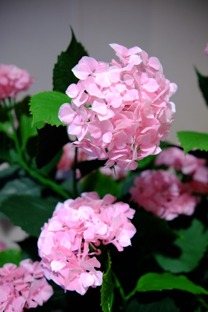 Kunst Hortensia Roze 90cm Buiten