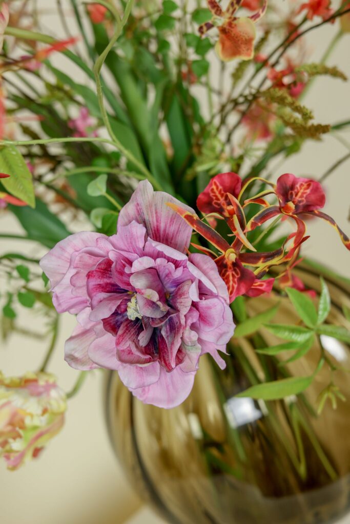 Elikrancherfotografiexexcl-268