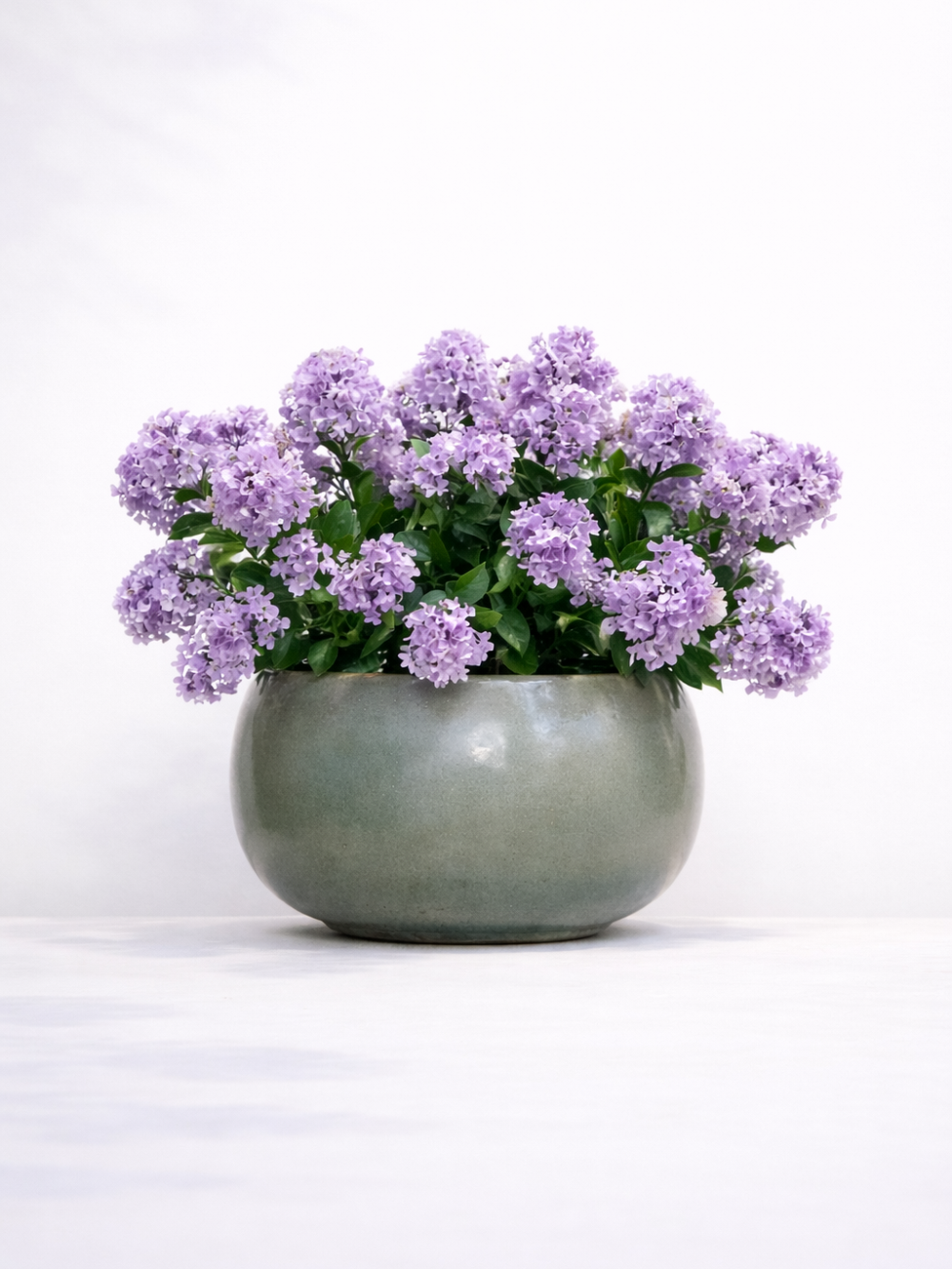 Paarse sering kunstplant voor buiten in pot UV