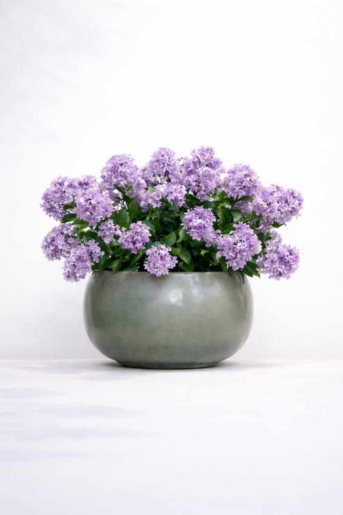 Paarse sering kunstplant voor buiten in pot UV